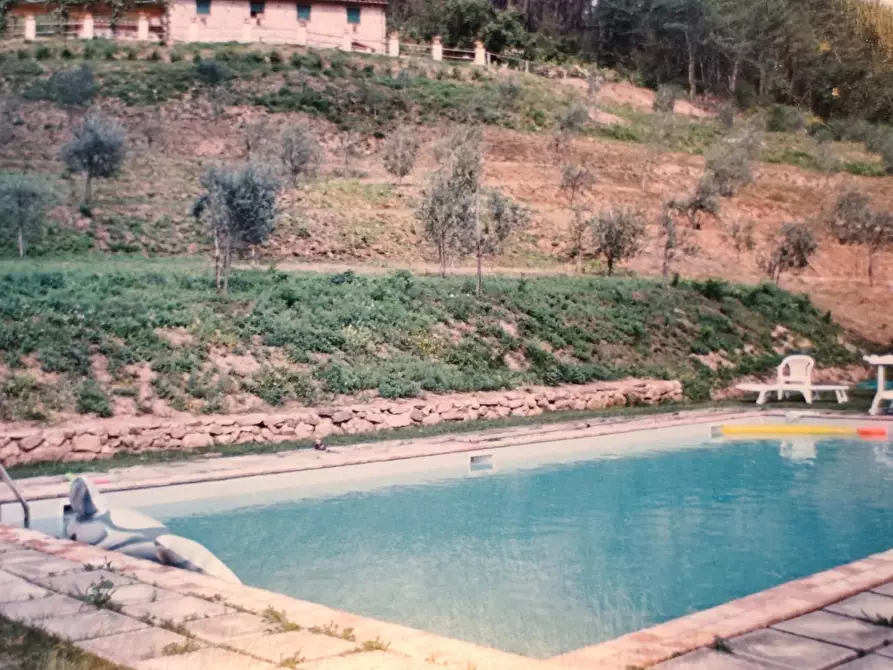 Immagine 69 di Casa colonica in vendita  a Capannori