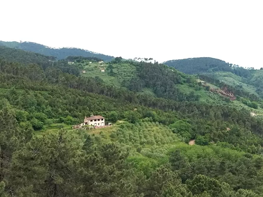 Immagine 79 di Casa colonica in vendita  a Capannori