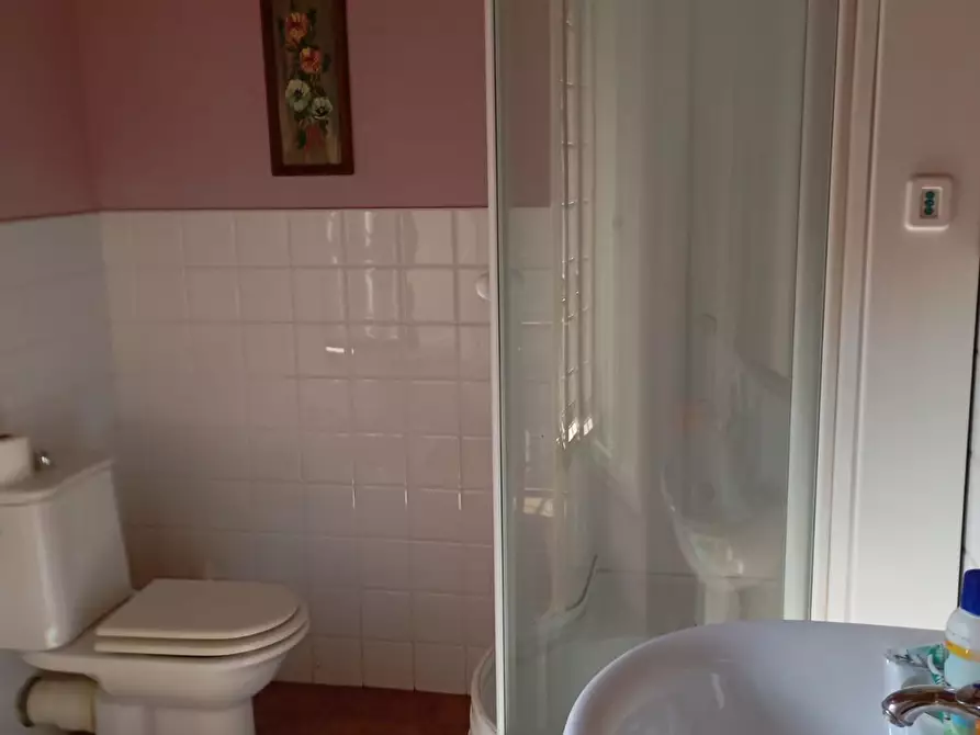 Immagine 92 di Casa colonica in vendita  a Capannori