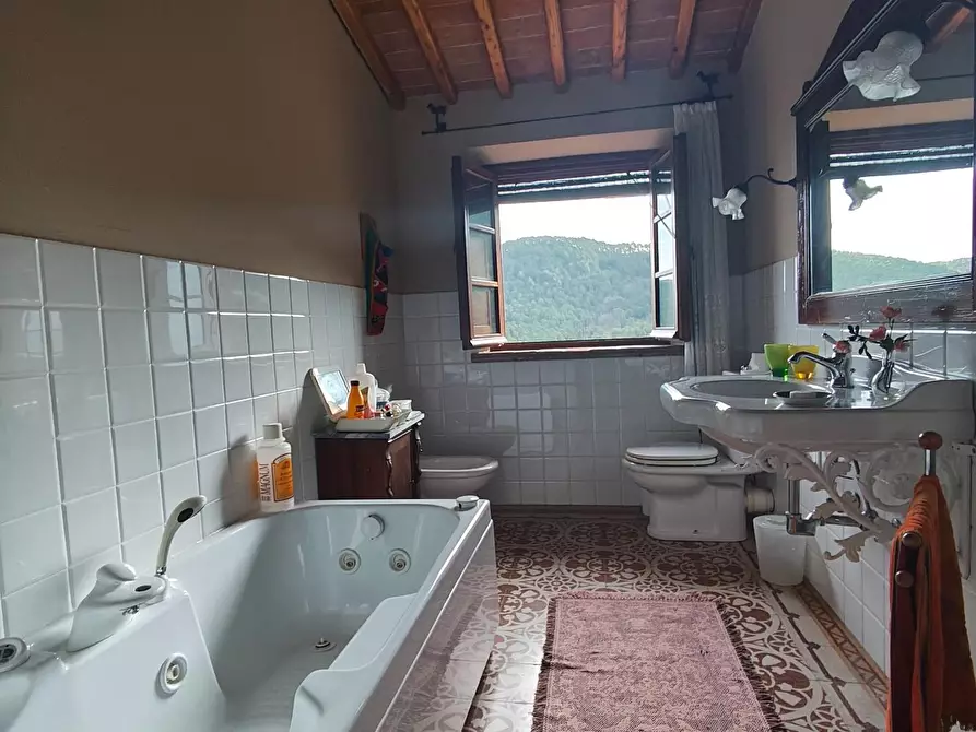 Immagine 45 di Casa colonica in vendita  a Capannori