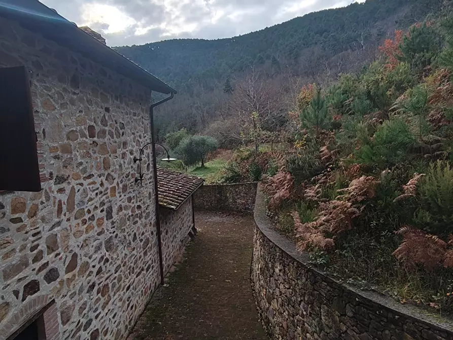 Immagine 63 di Casa colonica in vendita  a Capannori