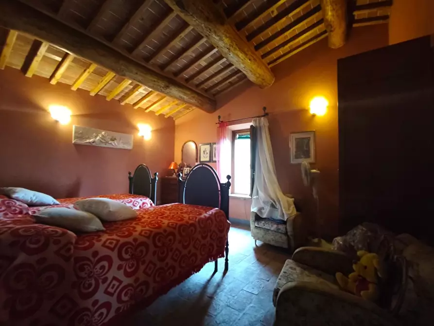 Immagine 52 di Casa colonica in vendita  a Capannori