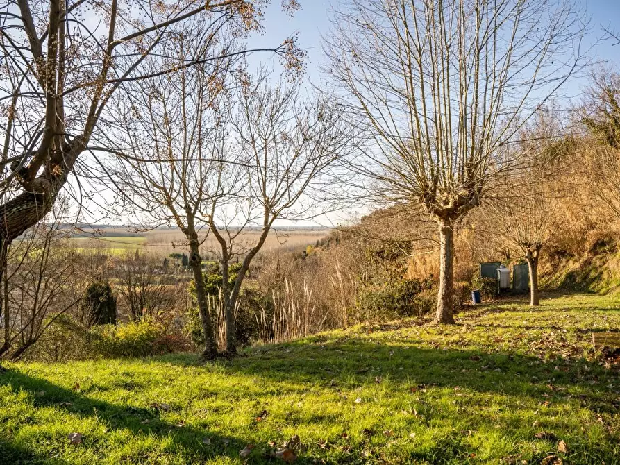 Immagine 29 di Rustico / casale in vendita  a Palaia