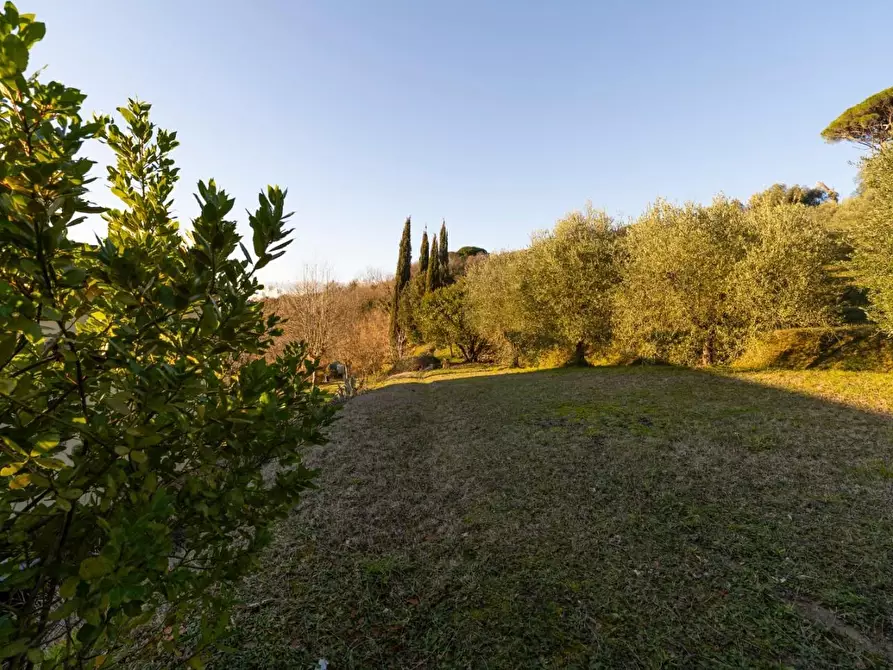 Immagine 31 di Rustico / casale in vendita  a Palaia