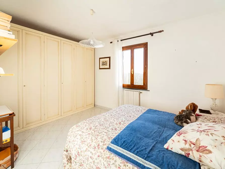 Immagine 20 di Rustico / casale in vendita  a Palaia