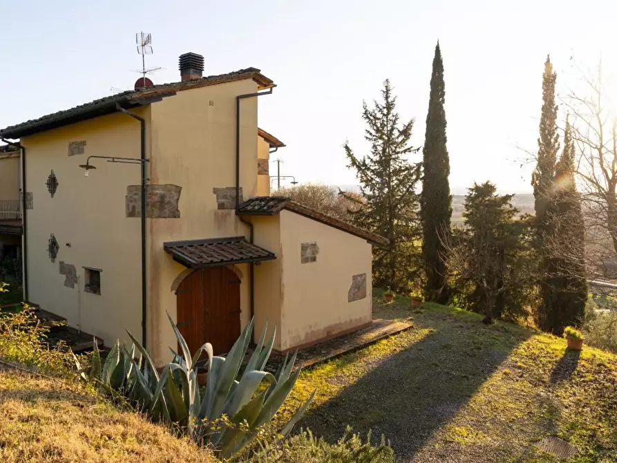 Immagine 7 di Rustico / casale in vendita  a Palaia