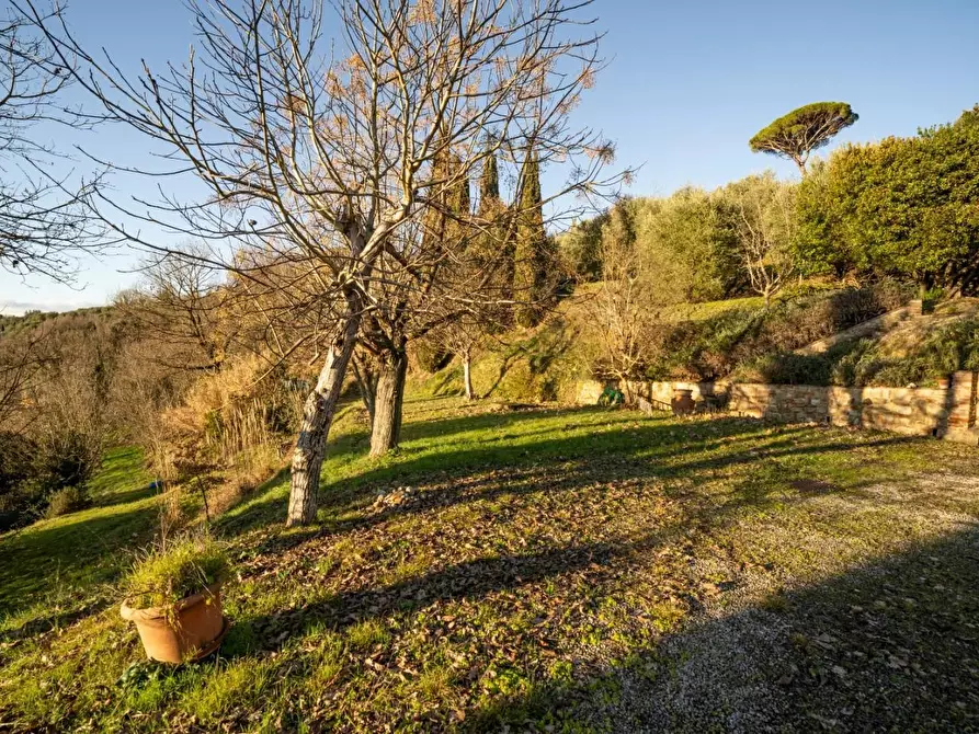 Immagine 30 di Rustico / casale in vendita  a Palaia