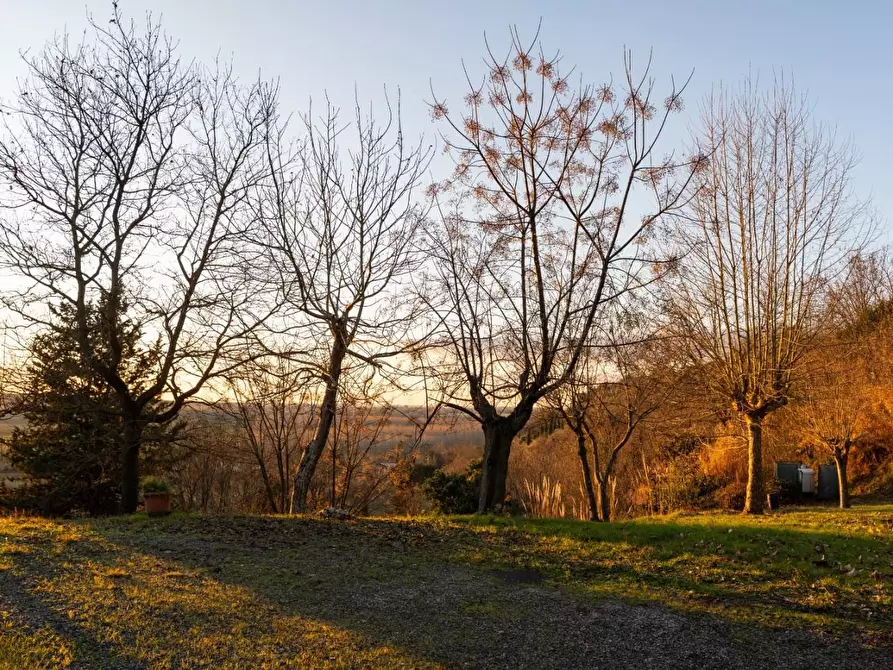 Immagine 4 di Rustico / casale in vendita  a Palaia