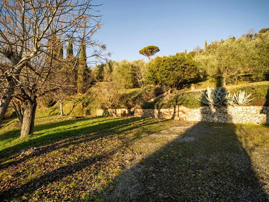 Immagine 5 di Rustico / casale in vendita  a Palaia