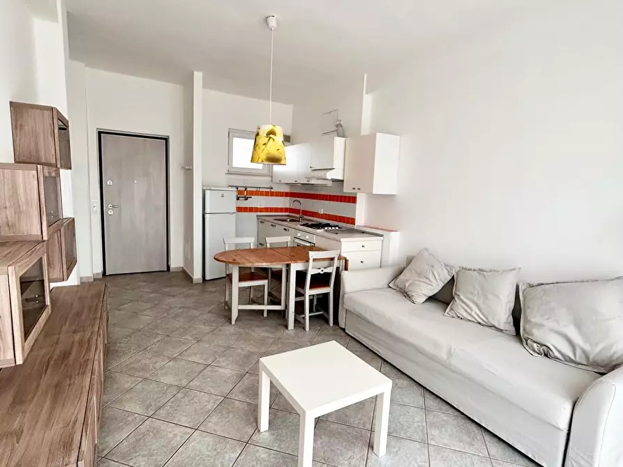 Immagine 7 di Appartamento in affitto  a Pisa