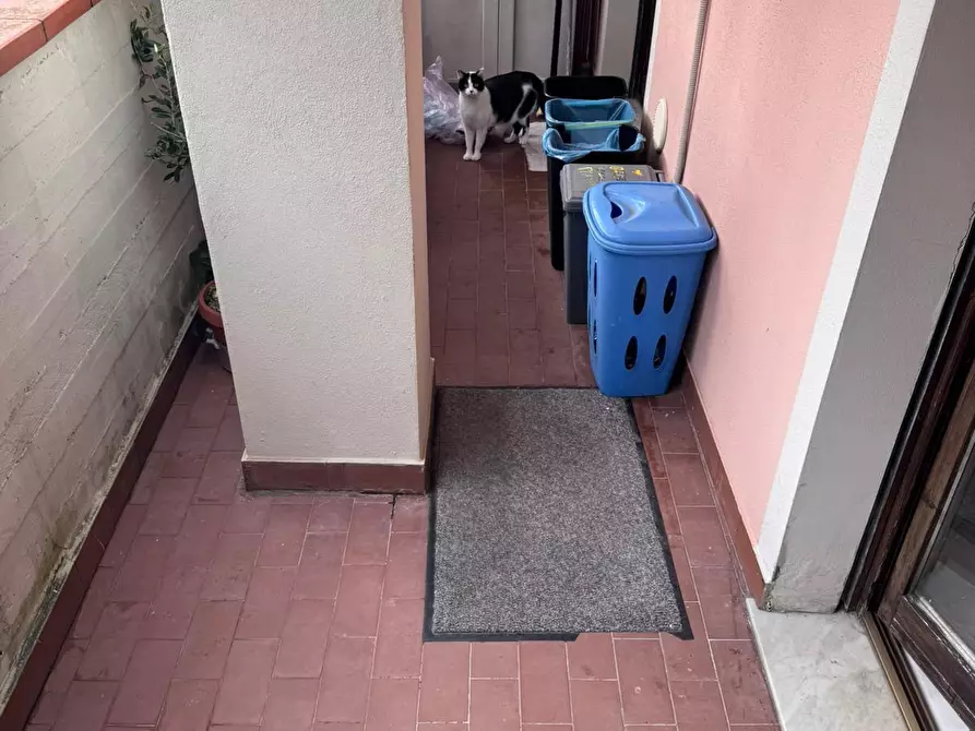 Immagine 25 di Appartamento in vendita  a Massa