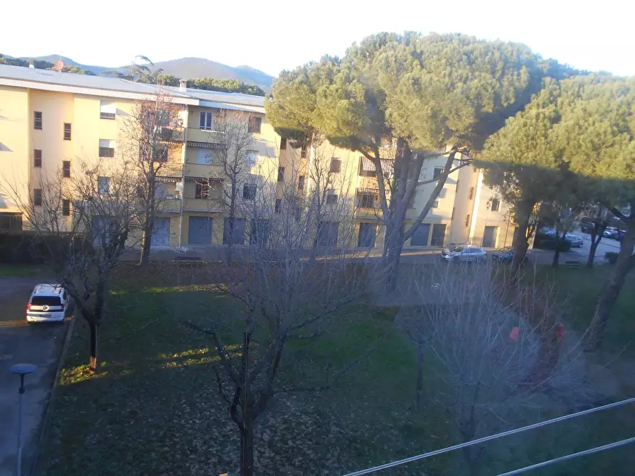 Immagine 18 di Appartamento in vendita  a Calcinaia