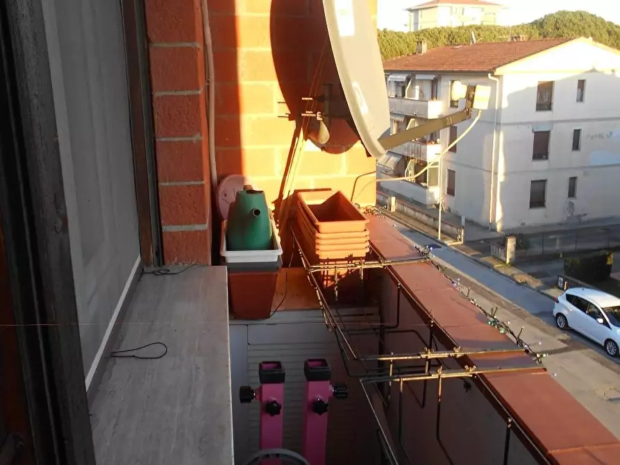 Immagine 20 di Appartamento in vendita  a Calcinaia