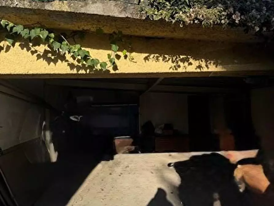 Immagine 5 di Casa bifamiliare in vendita  a Carrara