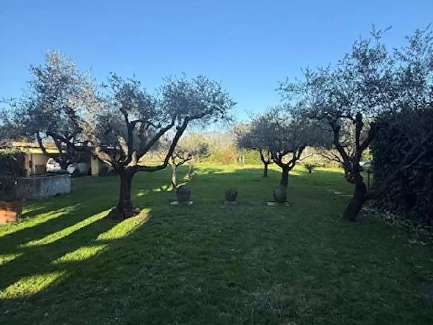 Immagine 6 di Casa bifamiliare in vendita  a Carrara