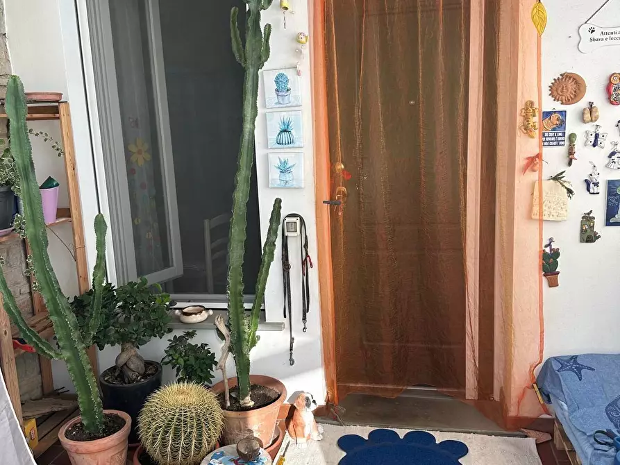 Immagine 6 di Porzione di casa in vendita  a Campiglia Marittima