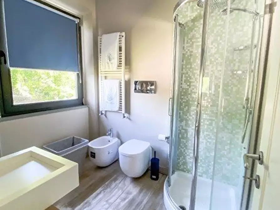 Immagine 22 di Villa in vendita  a Camaiore