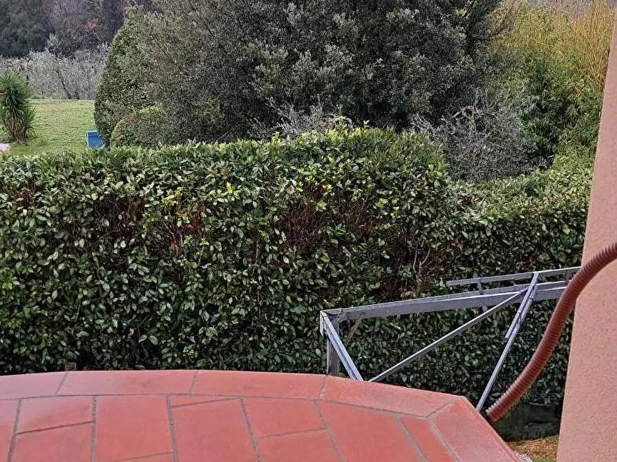 Immagine 12 di Appartamento in vendita  a Peccioli