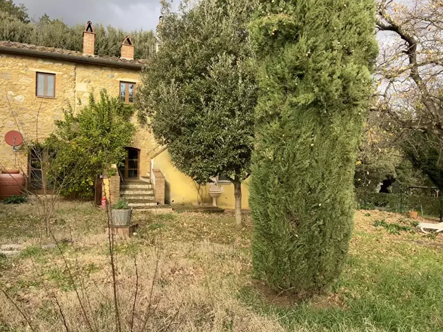 Immagine 5 di Casa colonica in vendita  a Riparbella