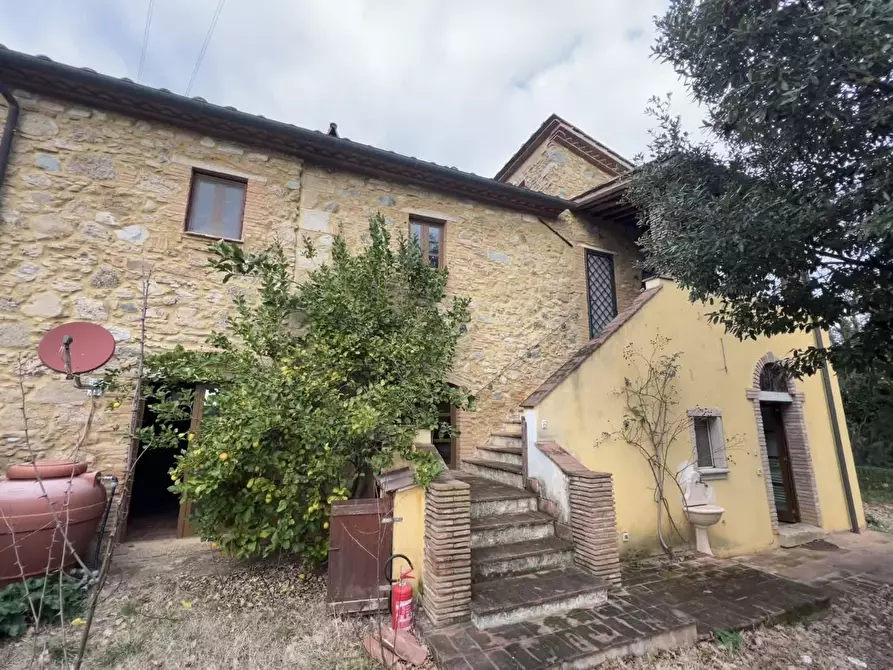 Immagine 2 di Casa colonica in vendita  a Riparbella