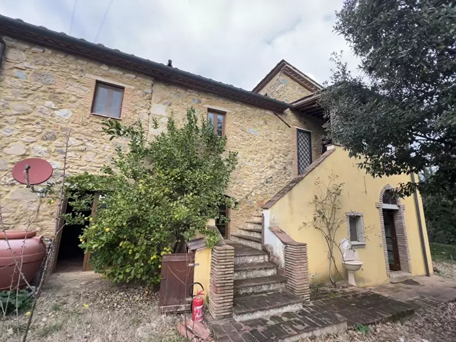 Immagine 4 di Casa colonica in vendita  a Riparbella