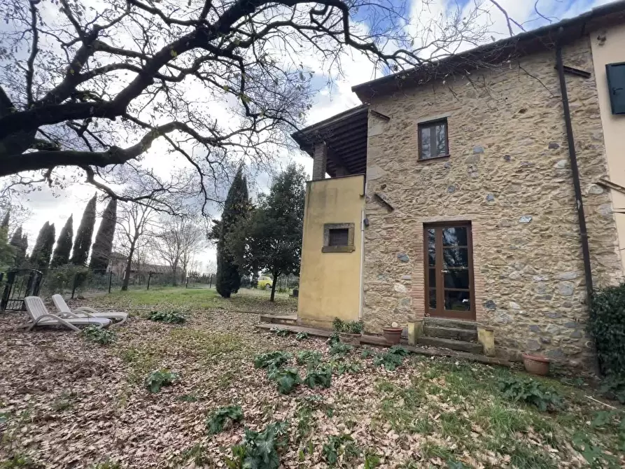 Immagine 3 di Casa colonica in vendita  a Riparbella