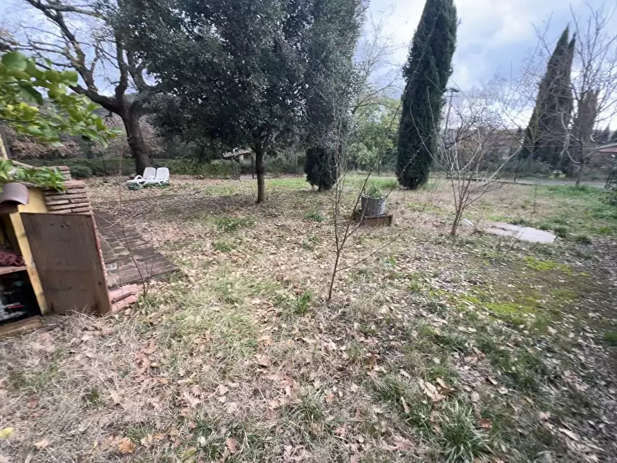 Immagine 9 di Casa colonica in vendita  a Riparbella