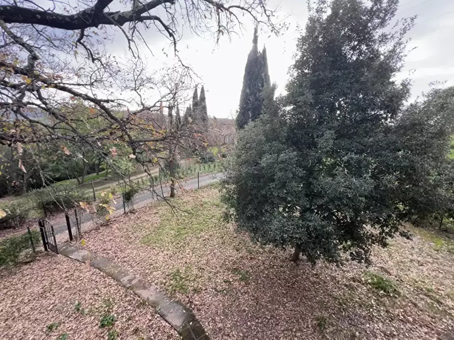 Immagine 11 di Casa colonica in vendita  a Riparbella