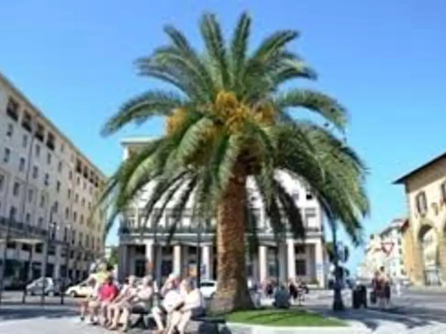 Immagine 3 di Attività commerciale in vendita  a Livorno