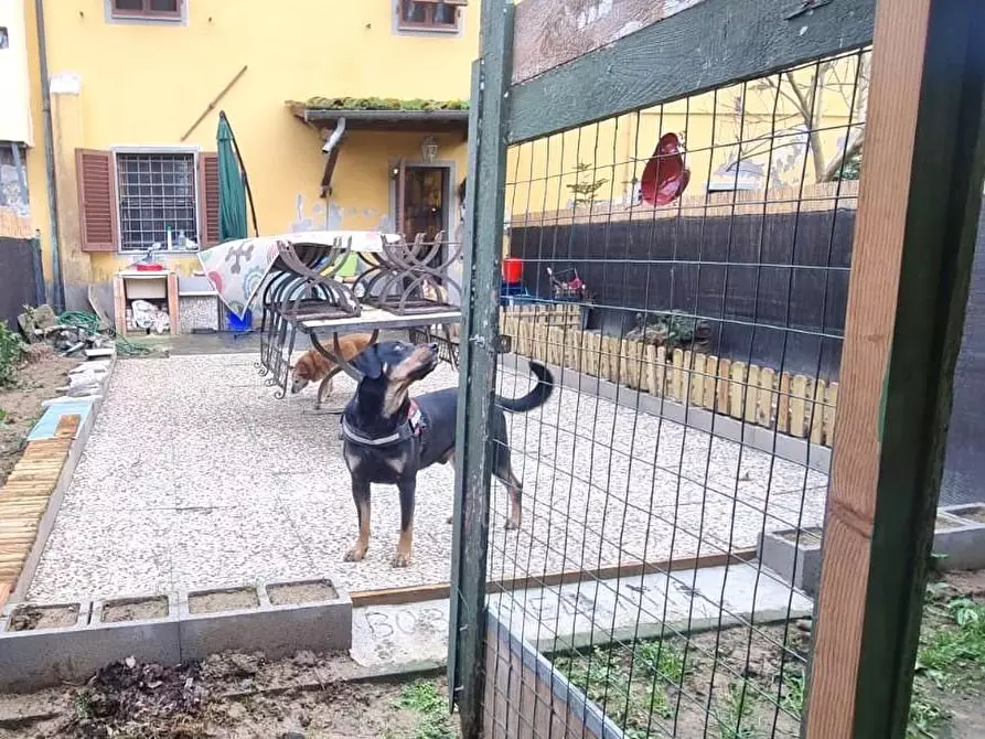 Immagine 42 di Terratetto in vendita  a Porcari