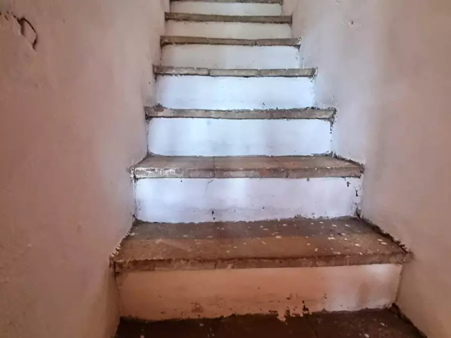 Immagine 27 di Terratetto in vendita  a Porcari