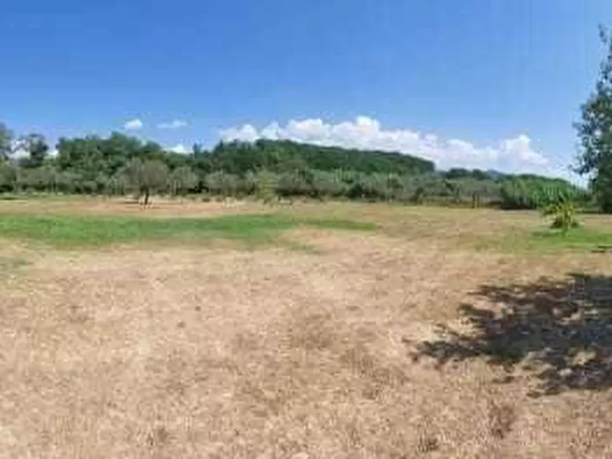 Immagine 18 di Mansarda in vendita  a Sarzana