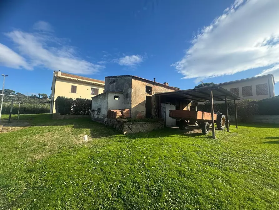 Immagine 5 di Casa colonica in vendita  a Pontedera
