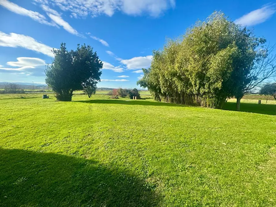 Immagine 6 di Casa colonica in vendita  a Pontedera