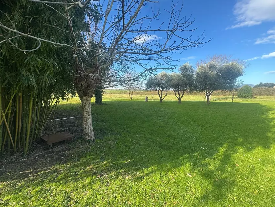 Immagine 7 di Casa colonica in vendita  a Pontedera