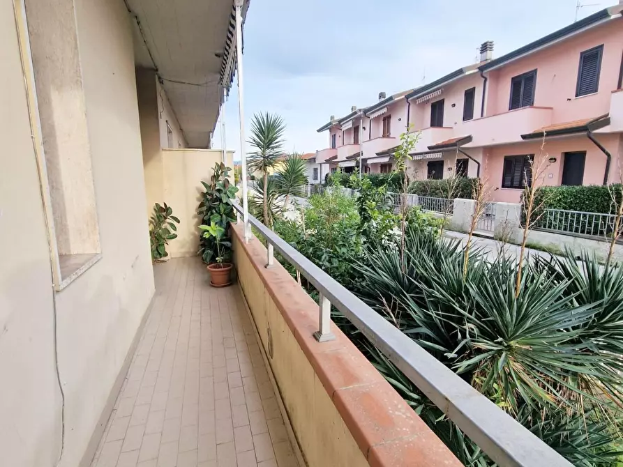 Immagine 16 di Appartamento in vendita  a Viareggio