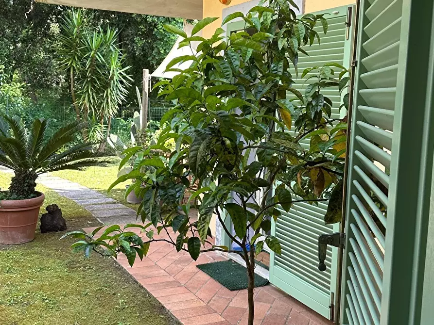 Immagine 2 di Villetta a schiera in vendita  a Massa