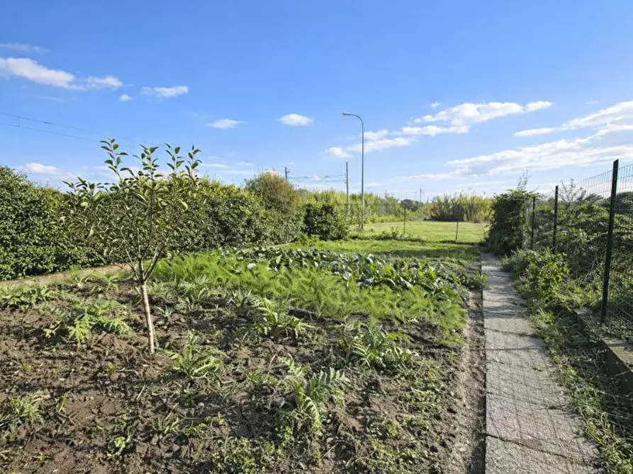 Immagine 26 di Terratetto in vendita  a Pisa