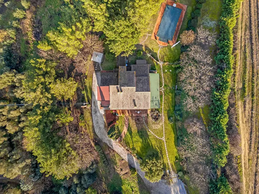 Immagine 15 di Villa in vendita  a Fucecchio