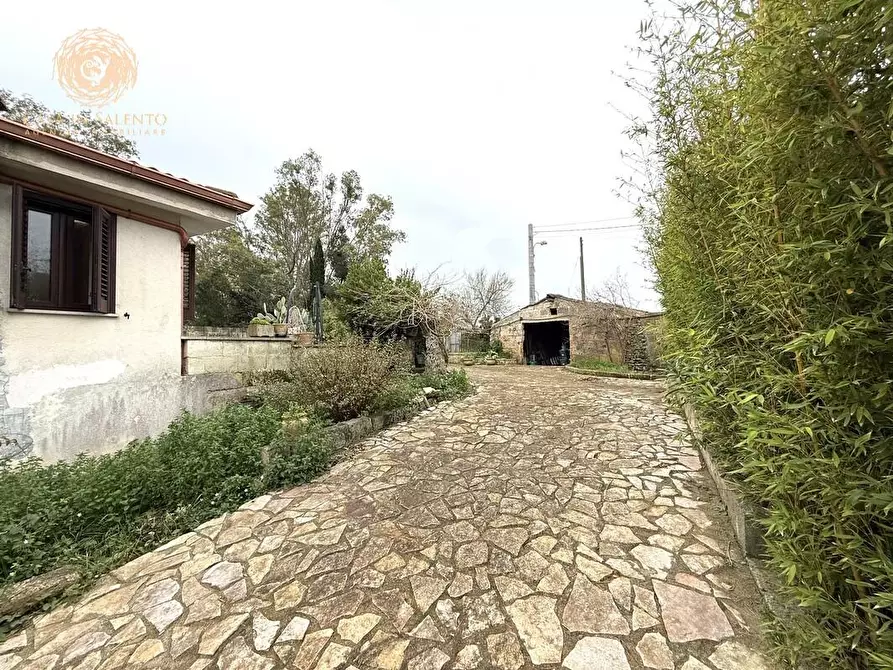 Immagine 24 di Villa in vendita  a Specchia