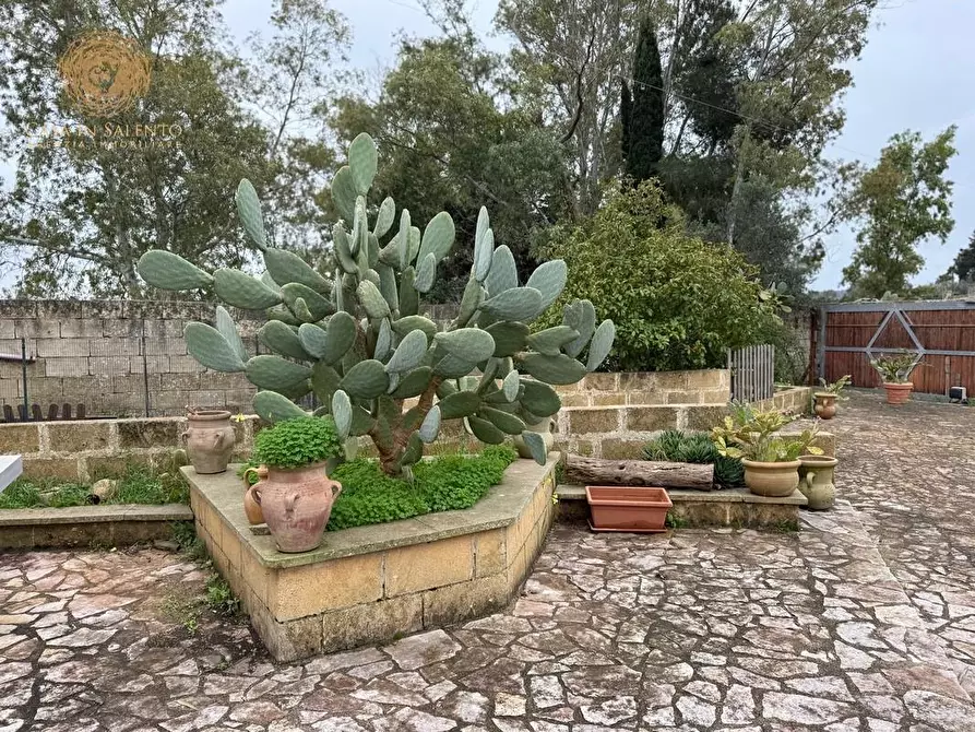 Immagine 22 di Villa in vendita  a Specchia