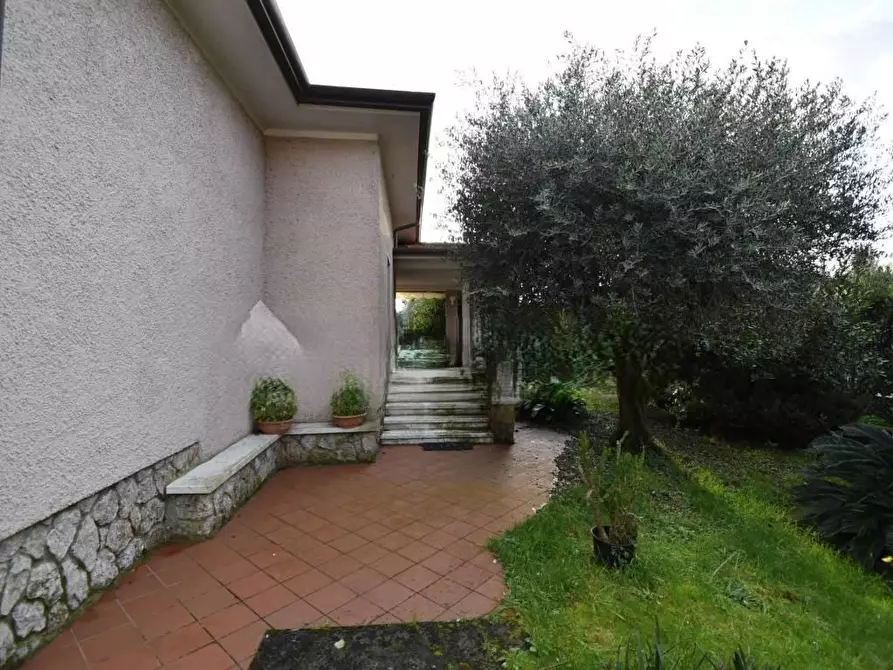 Immagine 14 di Villa in vendita  a Pietrasanta