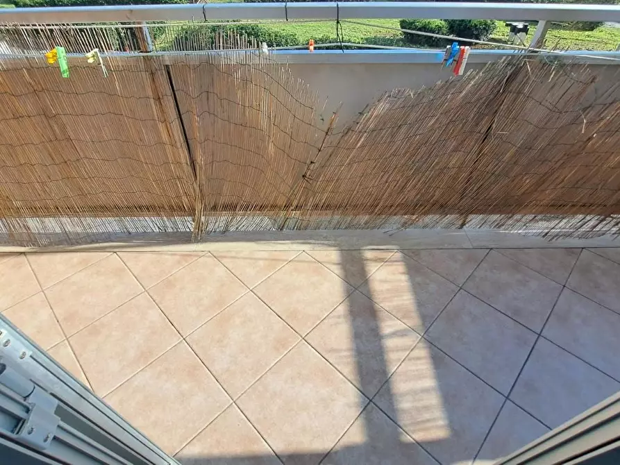 Immagine 14 di Appartamento in vendita  a Rosignano Marittimo