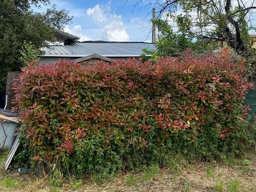 Immagine 17 di Appartamento in vendita  a San Miniato