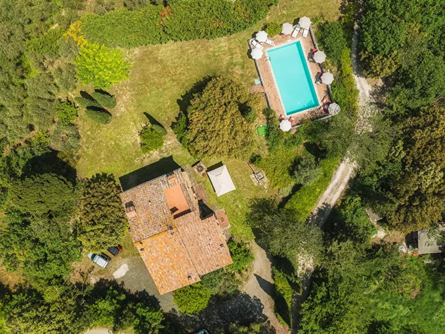 Immagine 5 di Villa in vendita  a Volterra