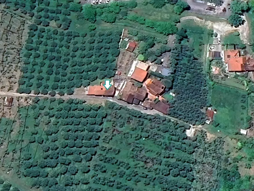 Immagine 3 di Terratetto in vendita  a Massarosa