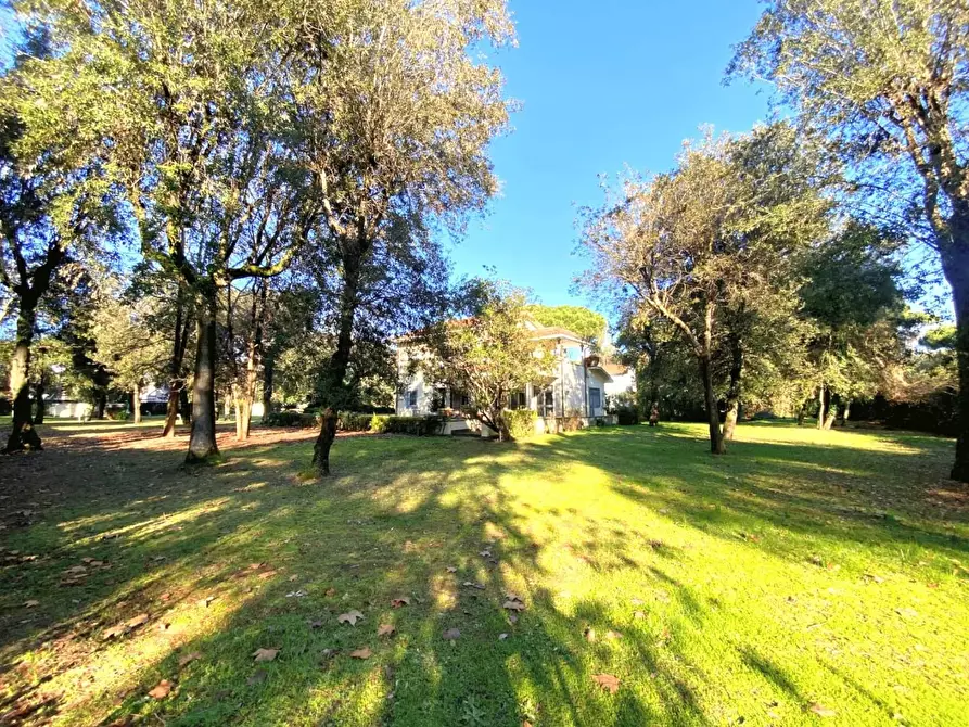 Immagine 28 di Villa in vendita  a Massa