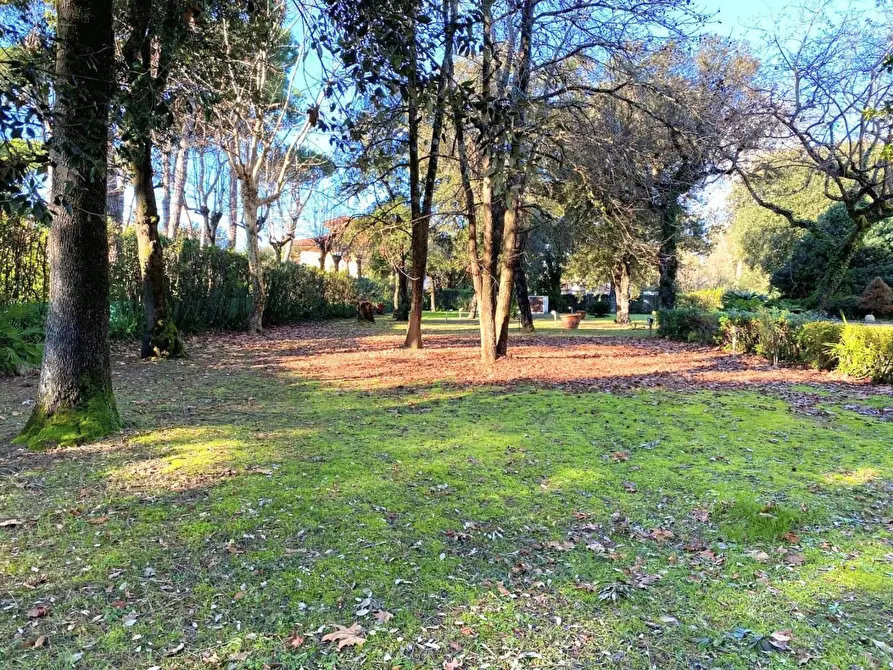 Immagine 27 di Villa in vendita  a Massa