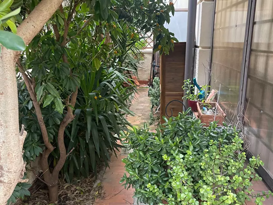 Immagine 2 di Appartamento in vendita  a Livorno