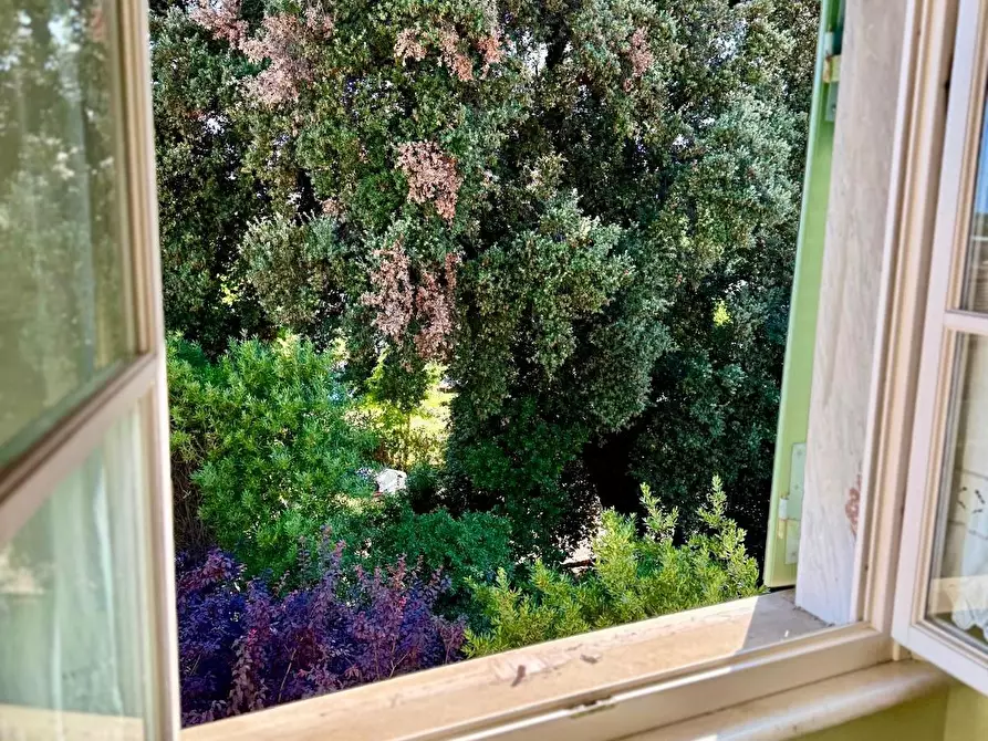 Immagine 19 di Appartamento in vendita  a Pietrasanta